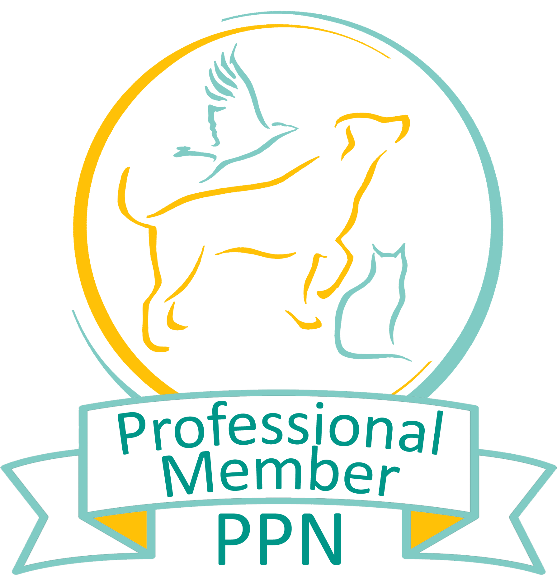 Professional Member PPN