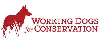 Working Dogs for Conservation